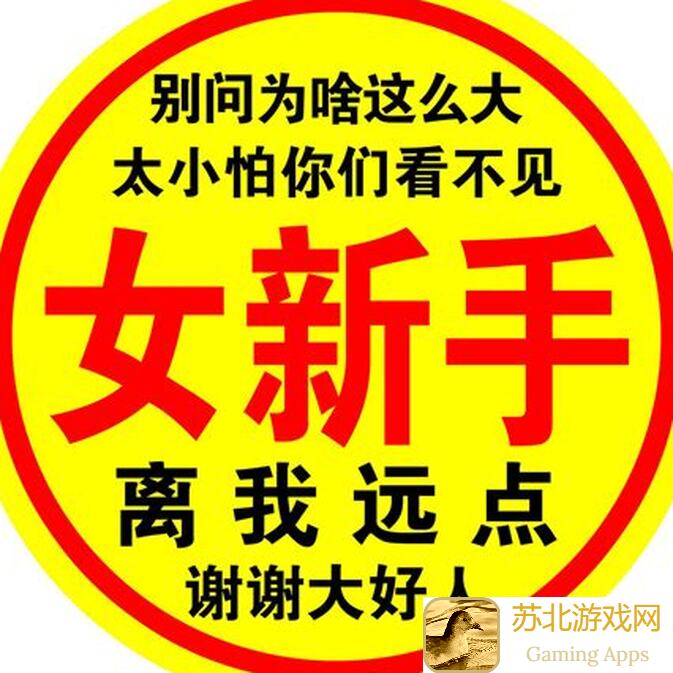 新手必备霓虹深渊：无限黑海联机秘籍大公开！