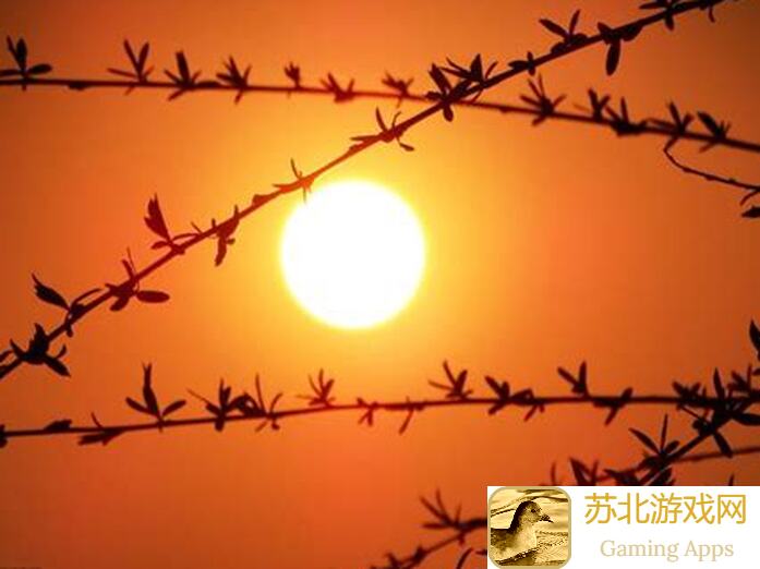 斗罗大陆：武魂觉醒神魂导器全面解析进阶攻略大揭秘！