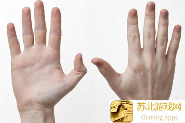 手把手教你3步秒懂城堡传说大乱斗天命满星作业攻略，手残党也能轻松通关！