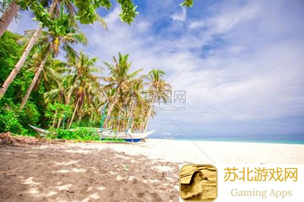 Dont Starve: Shipwrecked海滩生存指南：征服荒岛的必备秘籍