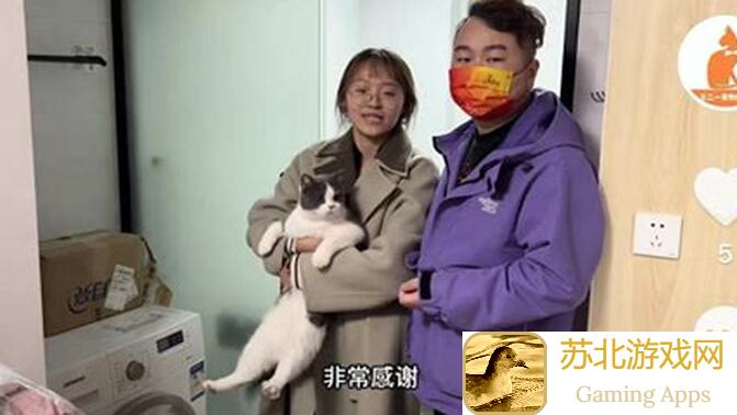 猫猫祟祟收集金币3636：全程实测指南，助你秒懂金币全集秘籍