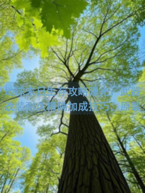 地球末日生存攻略曝光：武器改装耐久精确加成技巧，原装耐久如何最大化利用？