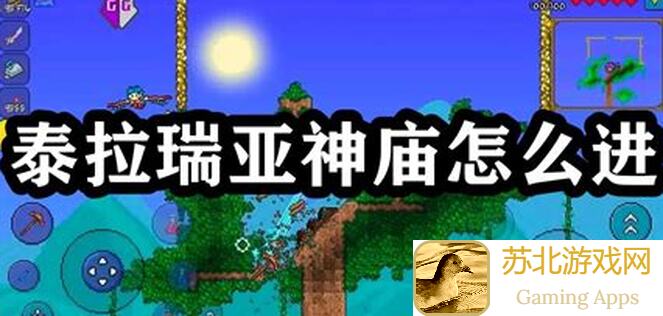 泰拉瑞亚丛林神庙：肉盾萌新也能入手蜥蜴蛋！