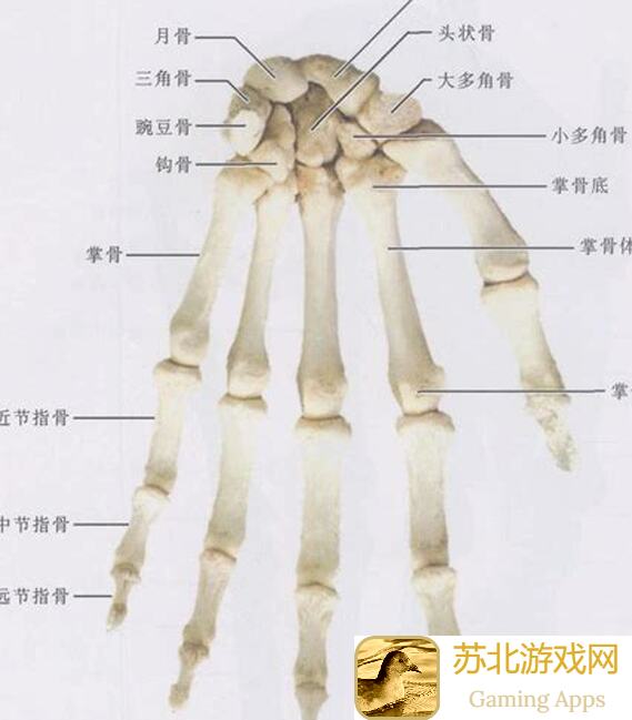 手残党必看！全面解析无名江湖联动预告 新玩法凭证推凶攻略指南
