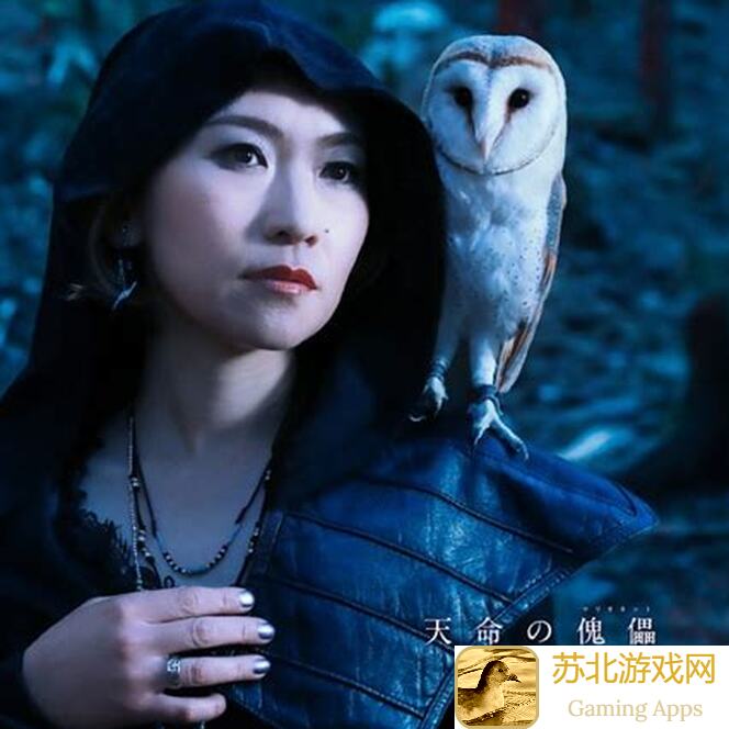传颂之物 Lost Flag日服入坑指南：新手必备秘籍大揭秘！