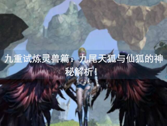 九重试炼灵兽篇：九尾天狐与仙狐的神秘解析！